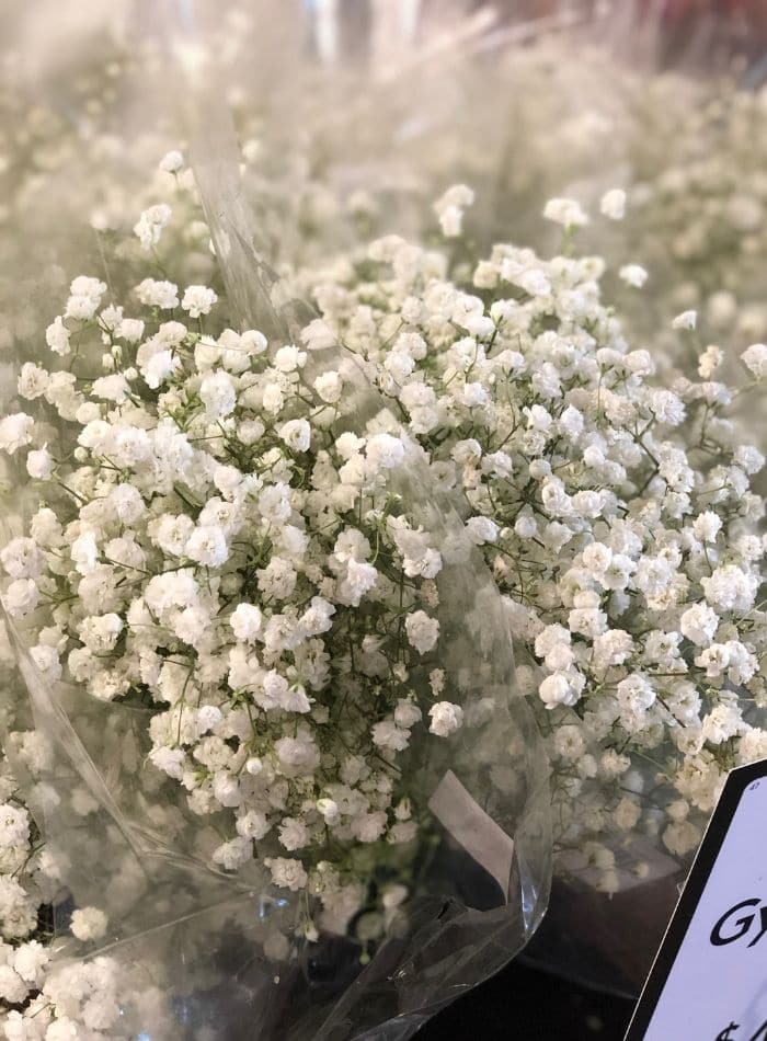 Best places to buy flowers showing babies breath at Fresh Market