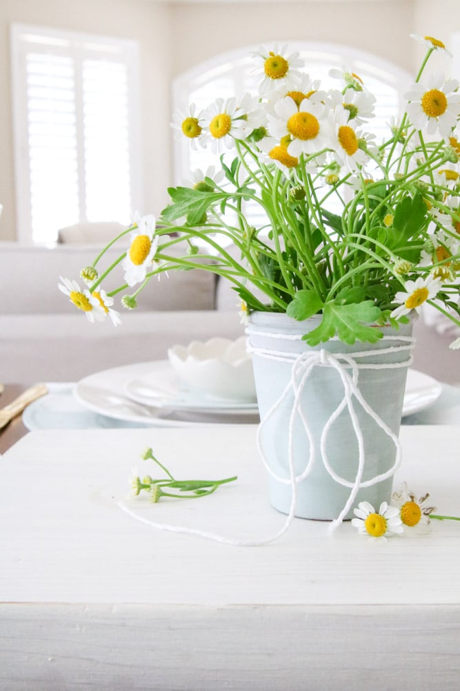 DIY Dollar store spring bee themed tablescape with chamomile flowers, Dollar Tree gingham buffalo check chargers, white dishes, La Rochere bee glasses, Martha Stewart honey and bee napkins.