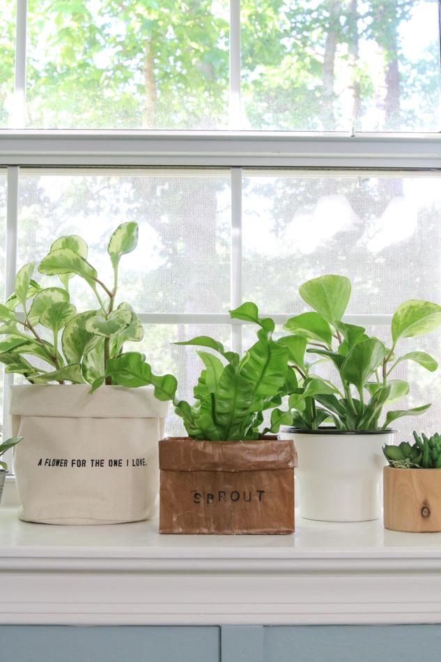 How to make a brown paper bag planter for your plants