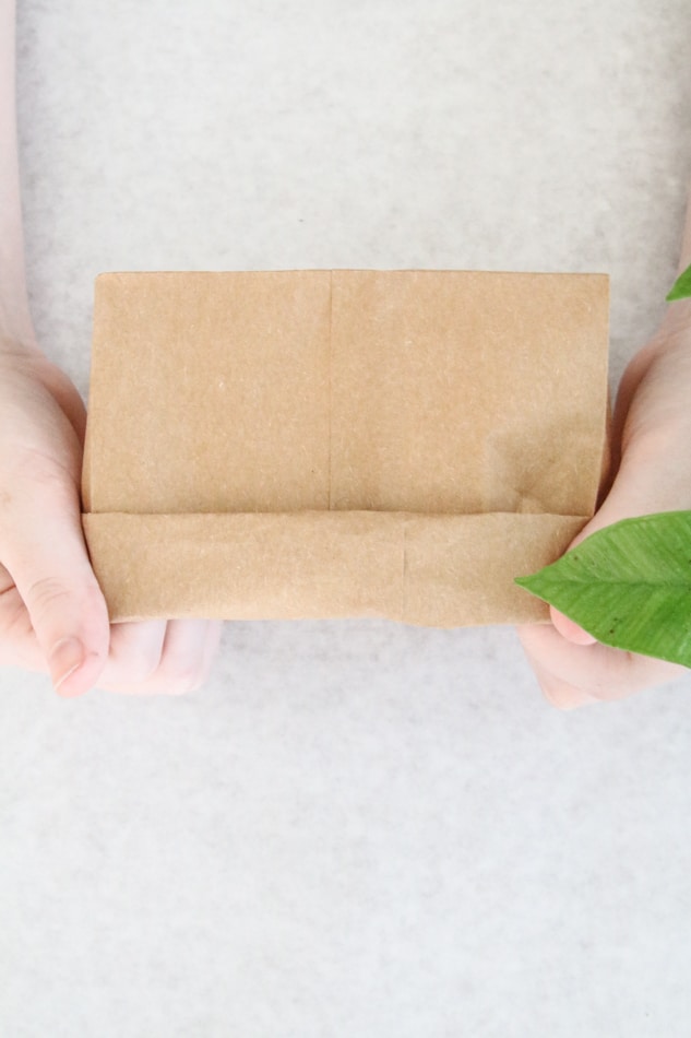 Folding the top of a brown paper lunch bag to make a plant planter