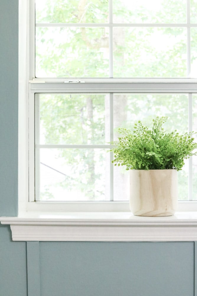 Maiden hair fern plant in a wood pot sitting in a window seal