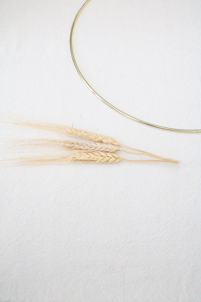Measure and cut dried wheat to fit onto a metal ring
